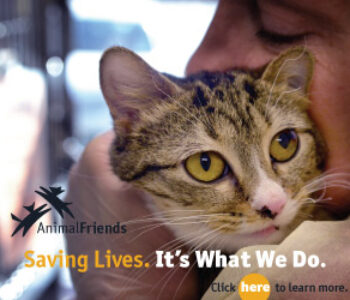 Saving-Lives.-It’s-What-We-Do.